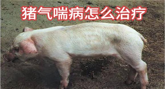 药物预防和净化