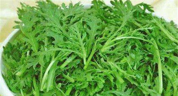 茼蒿的品种有哪些