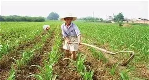 合理轮作的作用