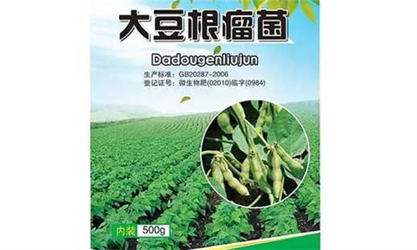 大豆根瘤菌的使用方法