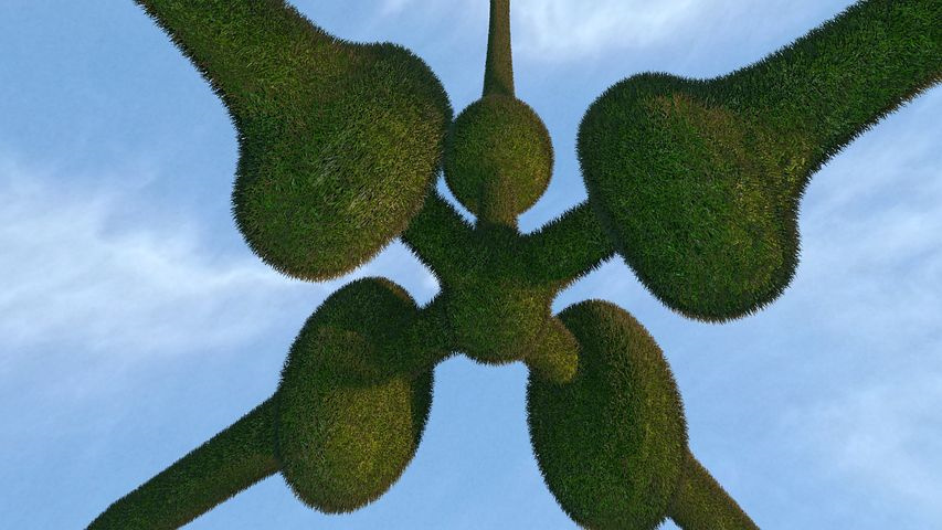 番茄落花落果的原因及防治方法