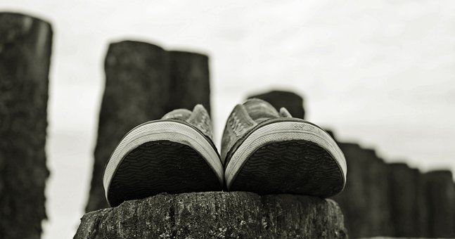 影响鲜枣贮藏的主要因素是什么