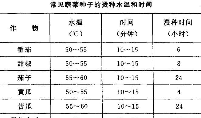 蔬菜种植