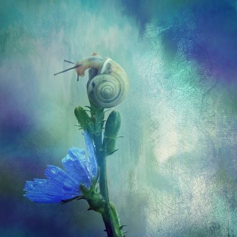 青花菜秋冬茬栽培技术－育苗