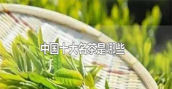 我国的十大名茶是什么