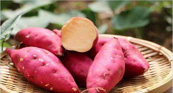 红薯的功效与作用