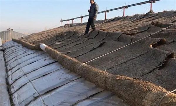 大棚草苫＂品＂字形覆盖法有什么好处
