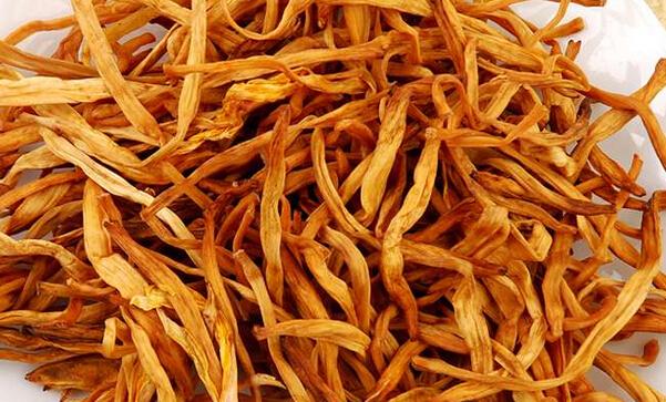 金针菜图片 金针菜的功效与作用