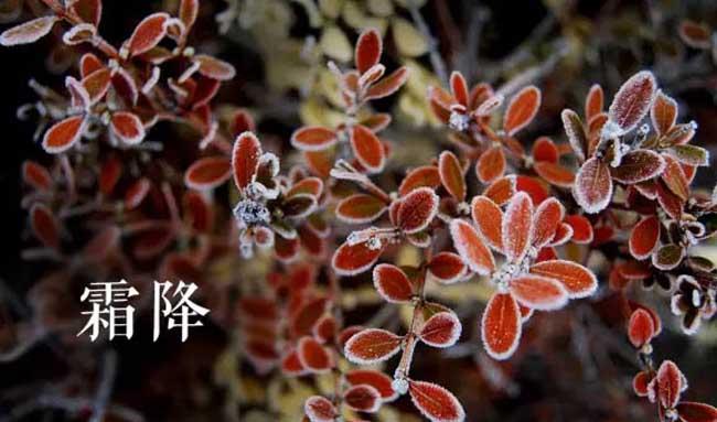 霜降是什么意思