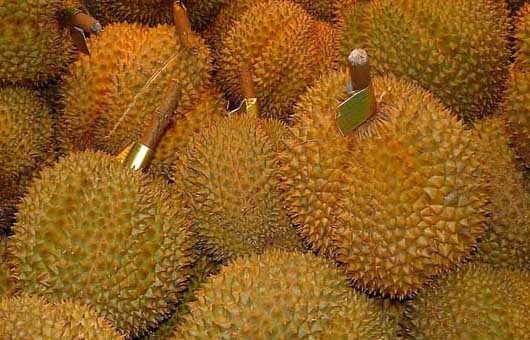 其他果树种植管理方法