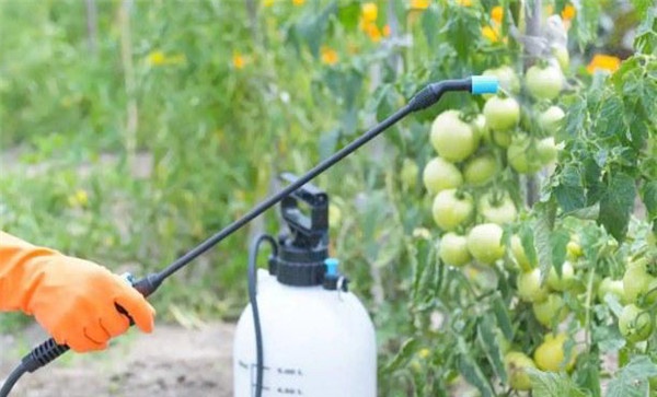 怎样自制植物源农药
