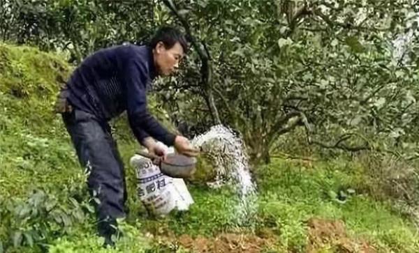 注重施肥量及时期