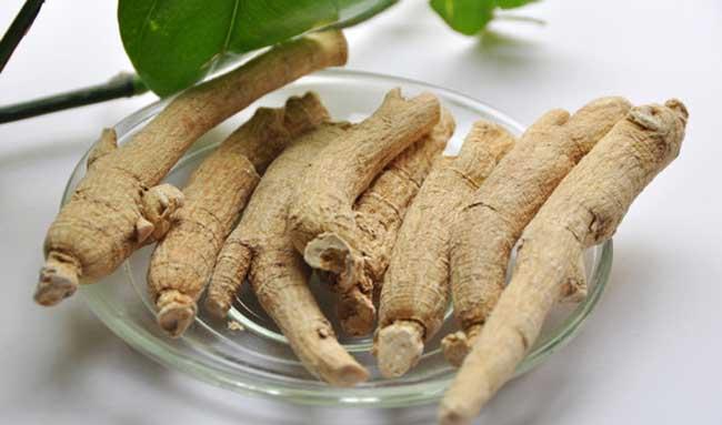 中药材种植