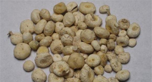 天南星的用法、用量与禁忌