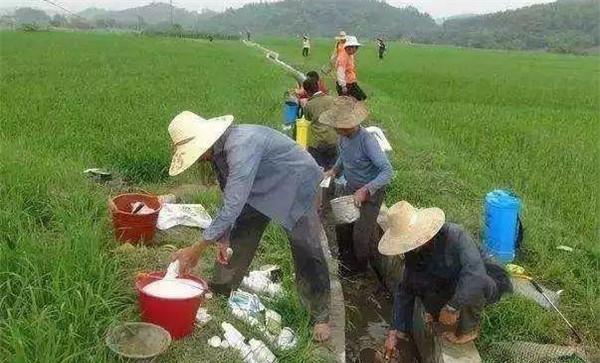 多效唑的使用方法