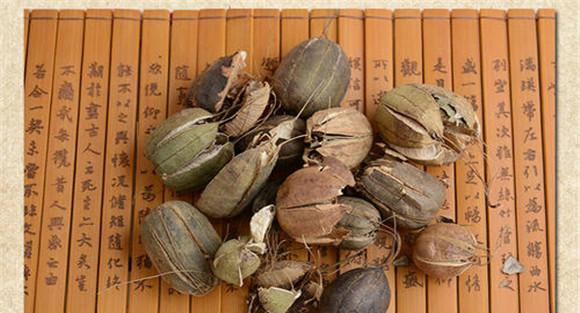 马兜铃的毒副作用