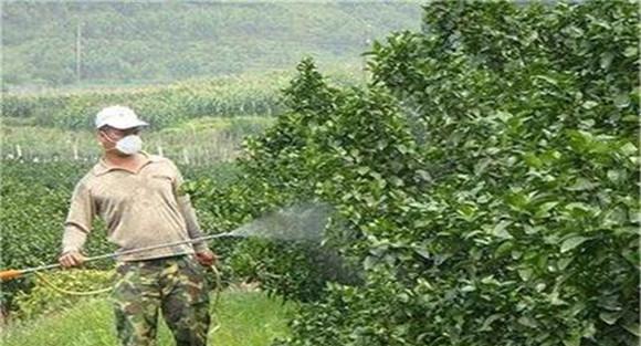 高温时间不宜喷药