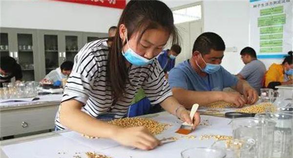农作物的种子质量检验包括哪些内容