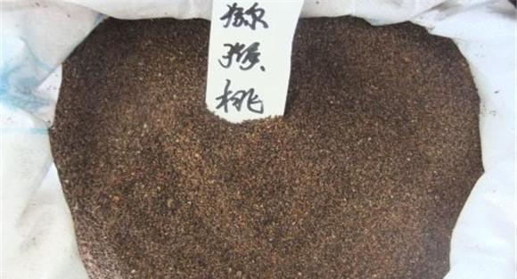 猕猴桃种子价格知多少