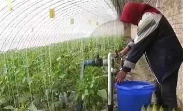 水溶肥要避免直接冲施