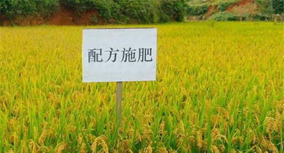 测土配方施肥