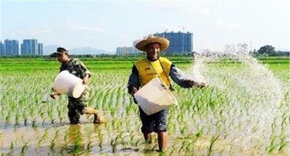 根外追肥方法