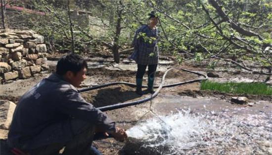苹果树的浇水要求