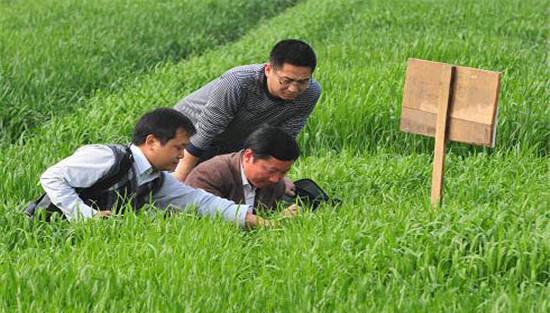 防止小麦湿害的主要措施