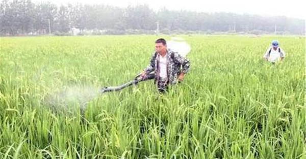 适时用药