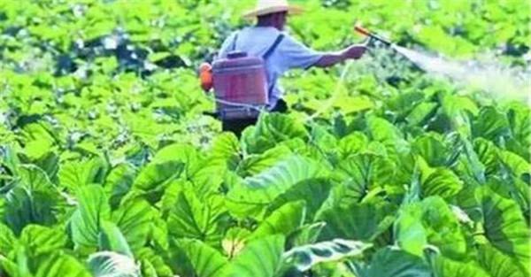 合理混用