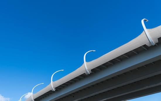 花卉为什么会生虫生病