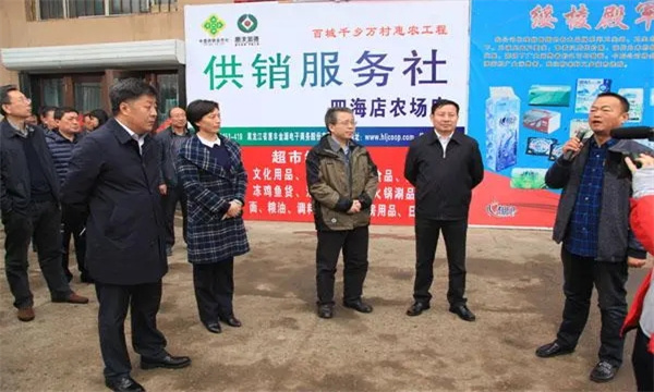加强基层社建设的内容