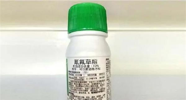 氰氟草酯的作用机理