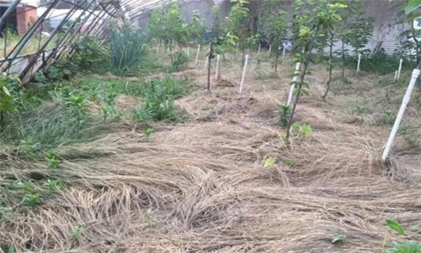 提高土壤含水量