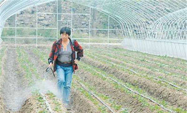 施用冲施肥注意事项