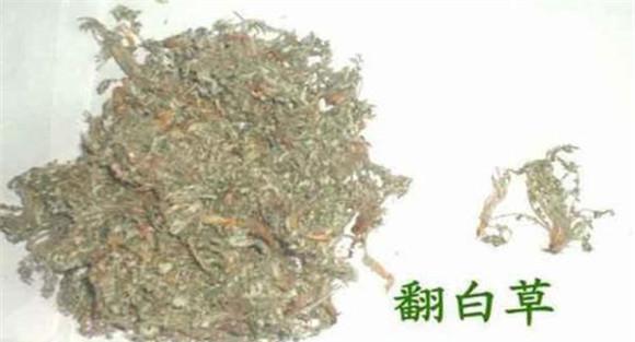 有关翻白草功效与作用的小配方