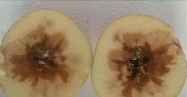苹果霉心病的预防方法