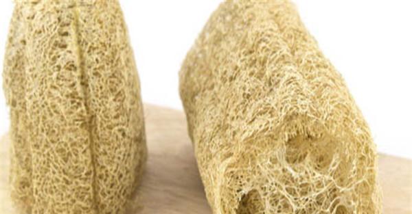 丝瓜络药用方法
