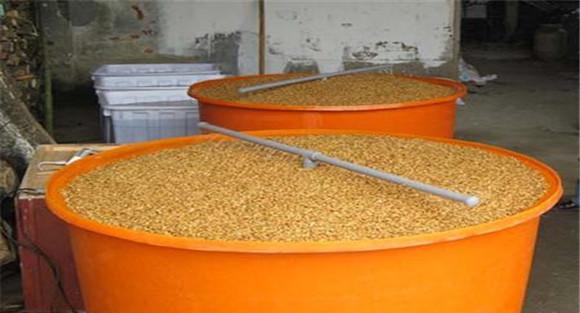 水稻催芽详细方法