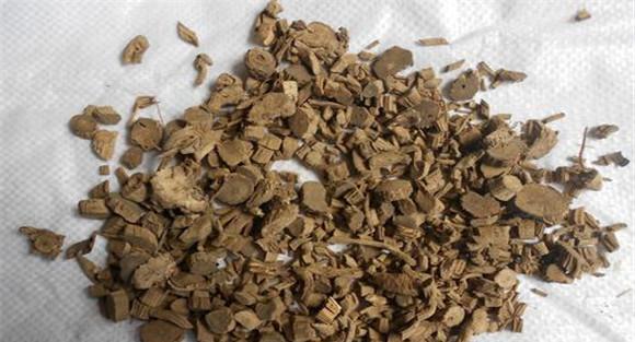 牛膝的临床应用与组方