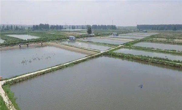衡量水质的其他三个指标