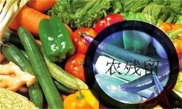 农药残留对农产品质量和安全性