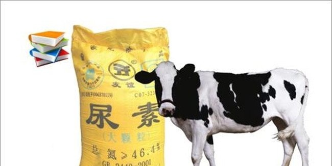 使用尿素喂牛的好处