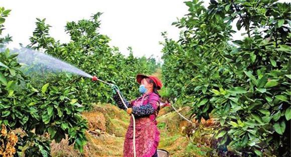 喷射微量元素