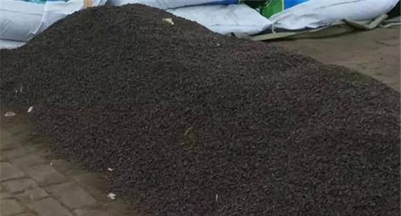 目前生物有机复合肥料使用中存在的问题