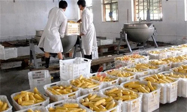 引起加工果品品质败坏的主要原因是什么