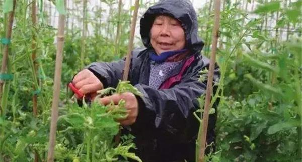 摘心