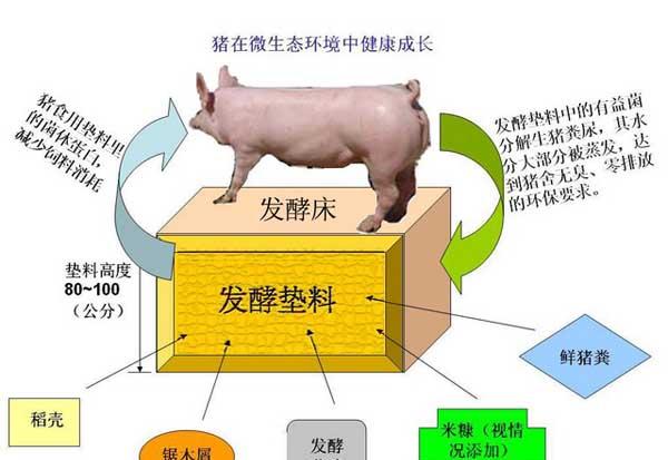 微生物饲料添加剂