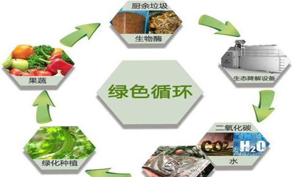 厨余垃圾怎么处理变成肥料