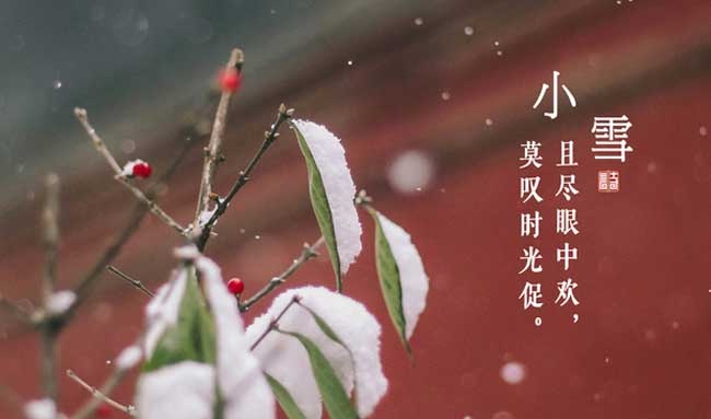 小雪节气是什么意思